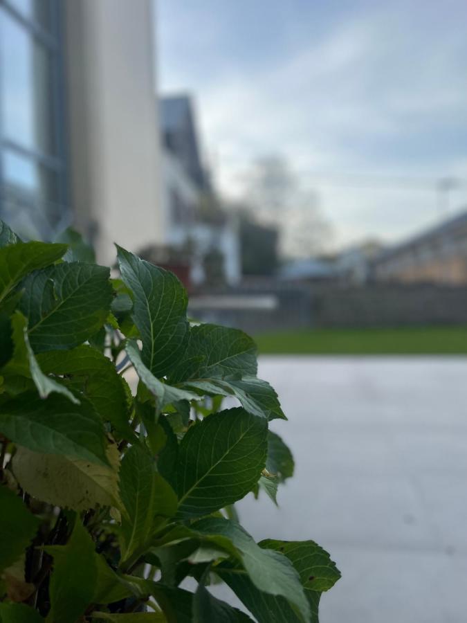 Atic Casa Pomar Apartman Camprodon Kültér fotó